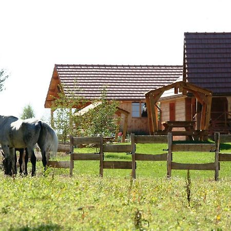 Le Hameau Des Grilles Villa Saint-Fargeau  Eksteriør billede